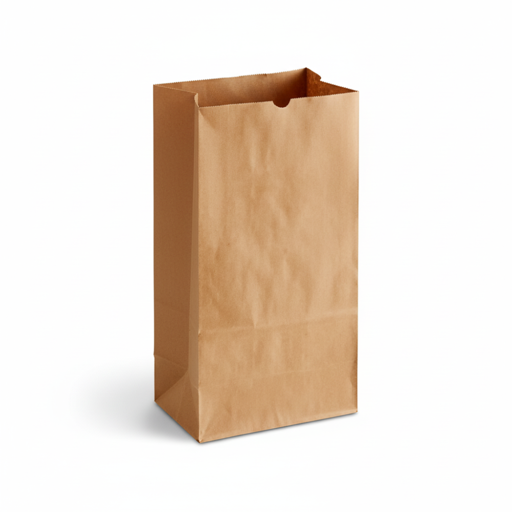 Bag Paper Brown 20 Lb
