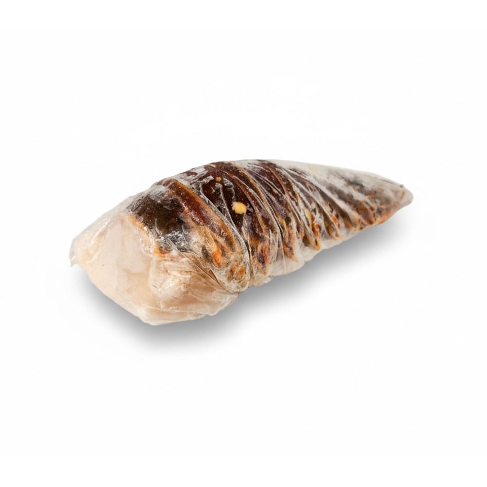 Wild Caught Lobster Tail 7 Oz