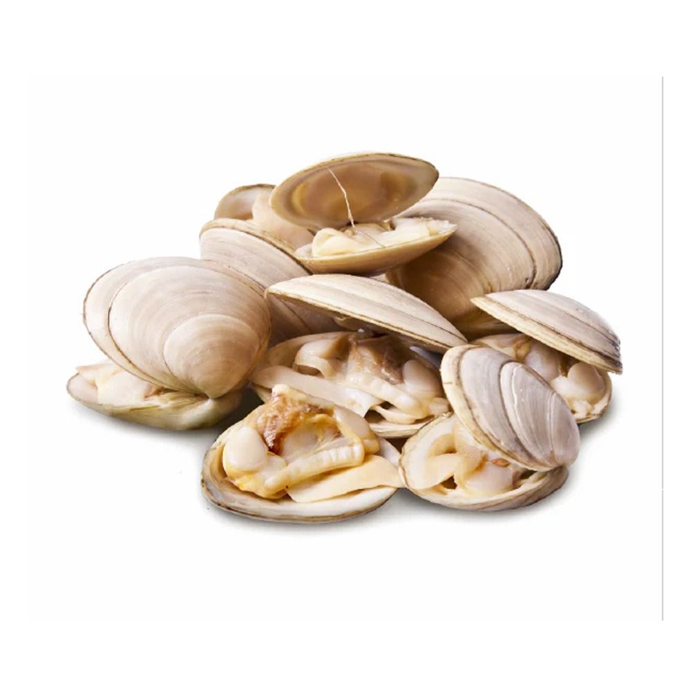 Clams Little Neck 17-22Ct White 1 Lb C10