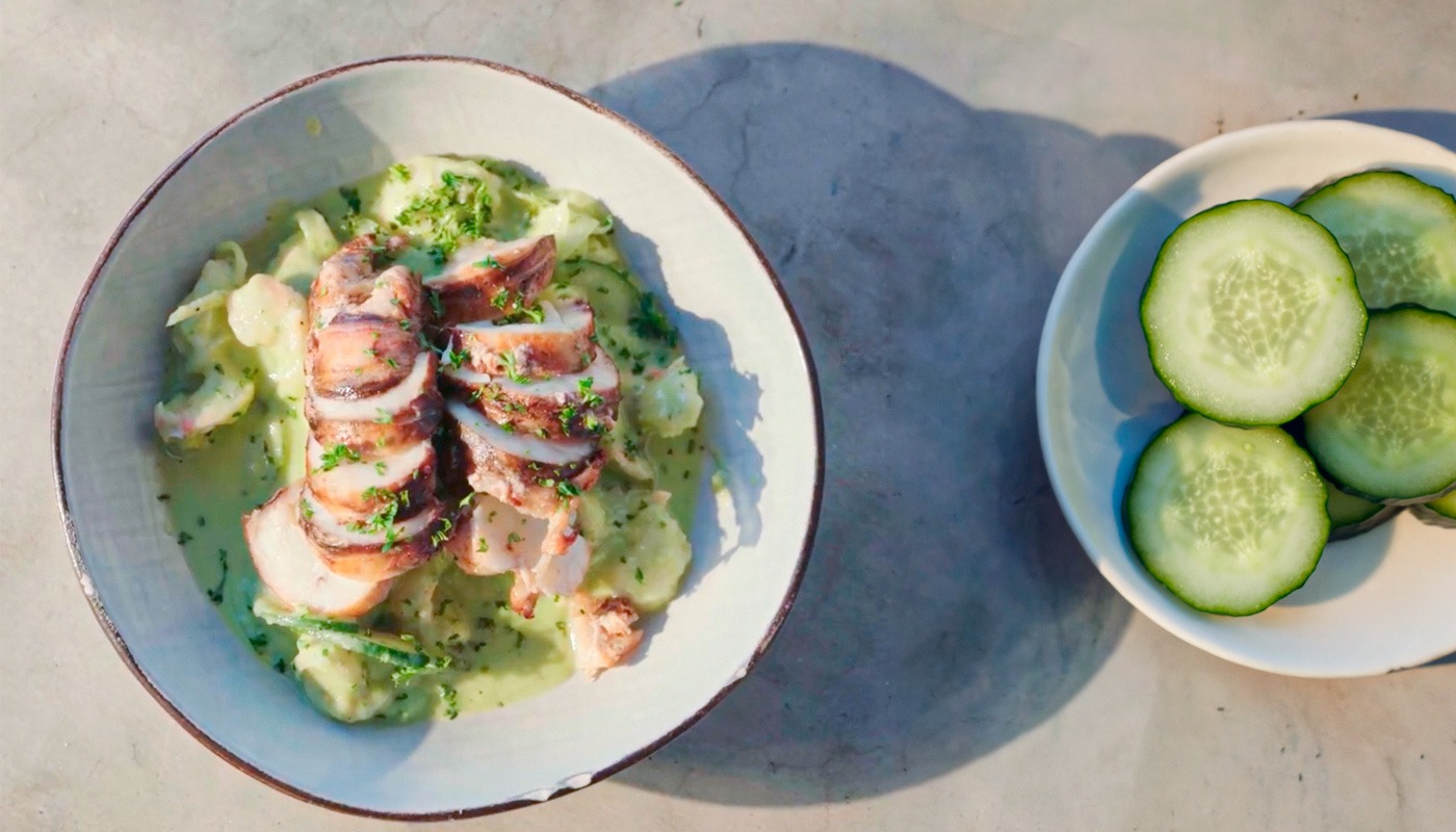ceviche-langosta-roatanprovision